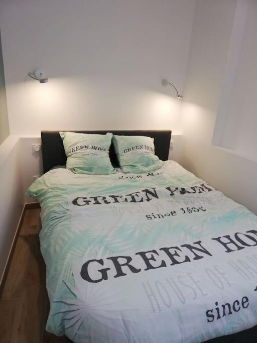 Bel Appartement Coeur De Grenoble Tout Equipe Luaran gambar