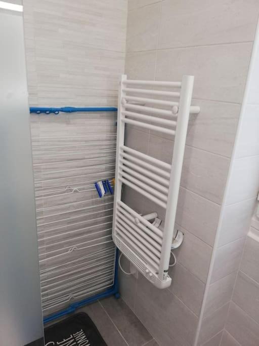 Bel Appartement Coeur De Grenoble Tout Equipe Luaran gambar