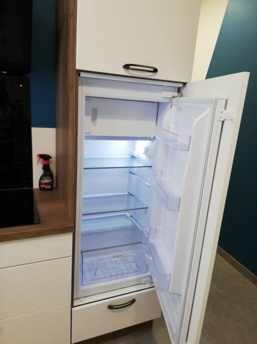 Bel Appartement Coeur De Grenoble Tout Equipe Luaran gambar
