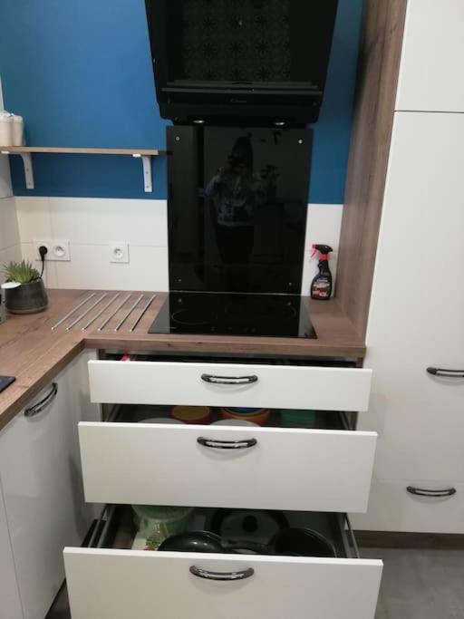 Bel Appartement Coeur De Grenoble Tout Equipe Luaran gambar